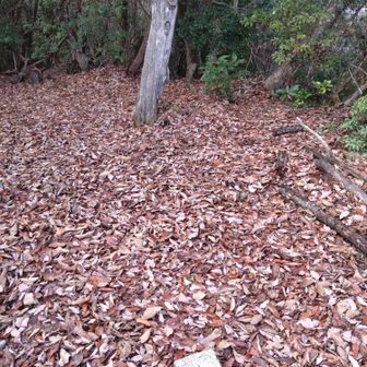 荒谷山山頂
里山キングでは、2回とも北側から登ったが、そっちのほうが楽だ。
但し、こちらは道中の眺めは良くないけどね。
下山し、本日目的1位のオモウマい店に向かいます！🚙

↓2021/10/2荒谷山の活動日記
https://yamap.com/activities/13416142
↓2019/10/5荒谷山の活動日記
https://yamap.com/activities/4692236