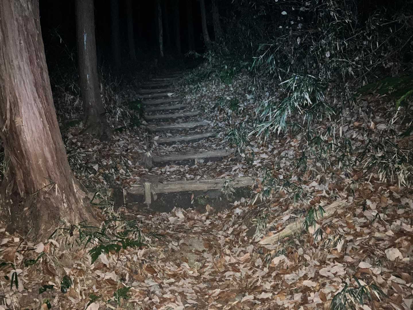 まだ暗い登山道をヘッデンつけて登ります。
