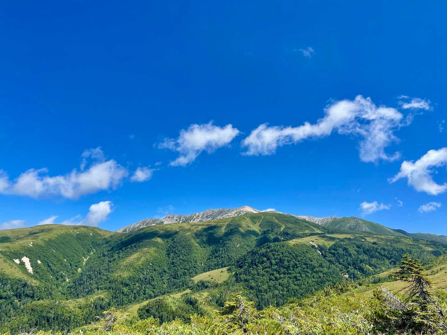 薬師⛰️