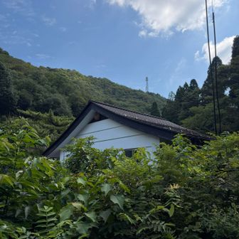 あれは、、、