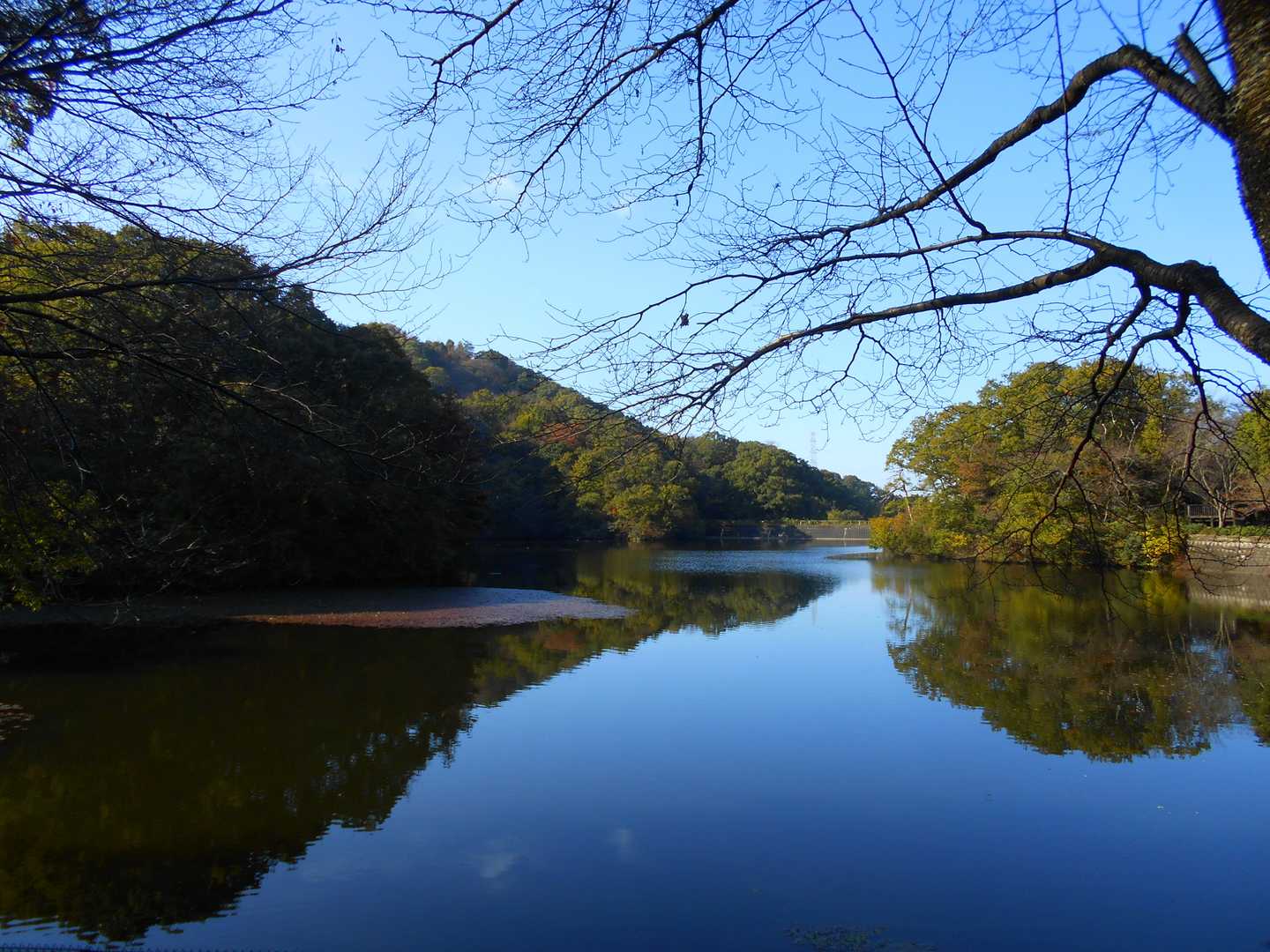 白旗池。水面がきれい　( 〃▽〃)