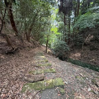 山はイイ😊