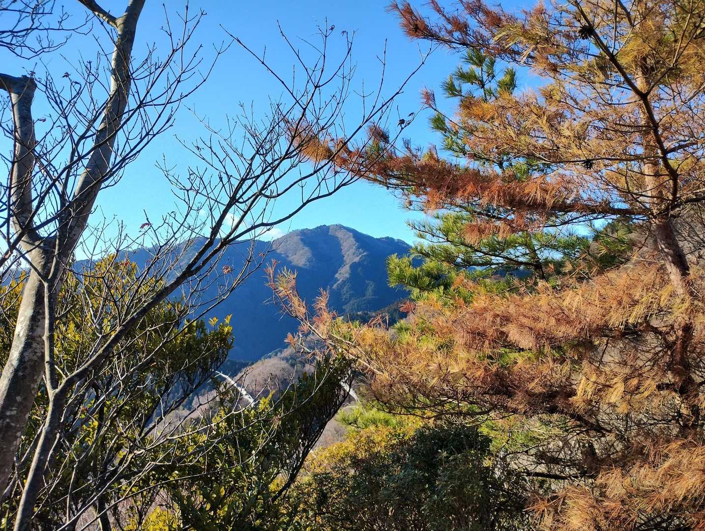 ある程度登っちゃえば、左側に堀坂山を眺めながら気持ちよく歩けます♪
前回多分スルーしてしまってた（近くを通ってるからピークカウントはされてるけど、実際は行けてなかった）御所谷山付近から撮りました📷️