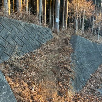 鶴峠登山口はわかりにくいです
上野原は1度でしたが、-4.6度スタート