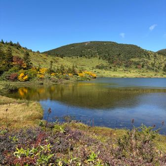 紅葉シーズン🍁まじか|дﾟ)です❗️