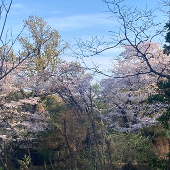 丹沢で2番目に高い山も意外と知られていないと思う！（不動ノ峰）