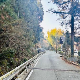 無事に下山⛰️
今日もありがとうございました🙇‍♂️
