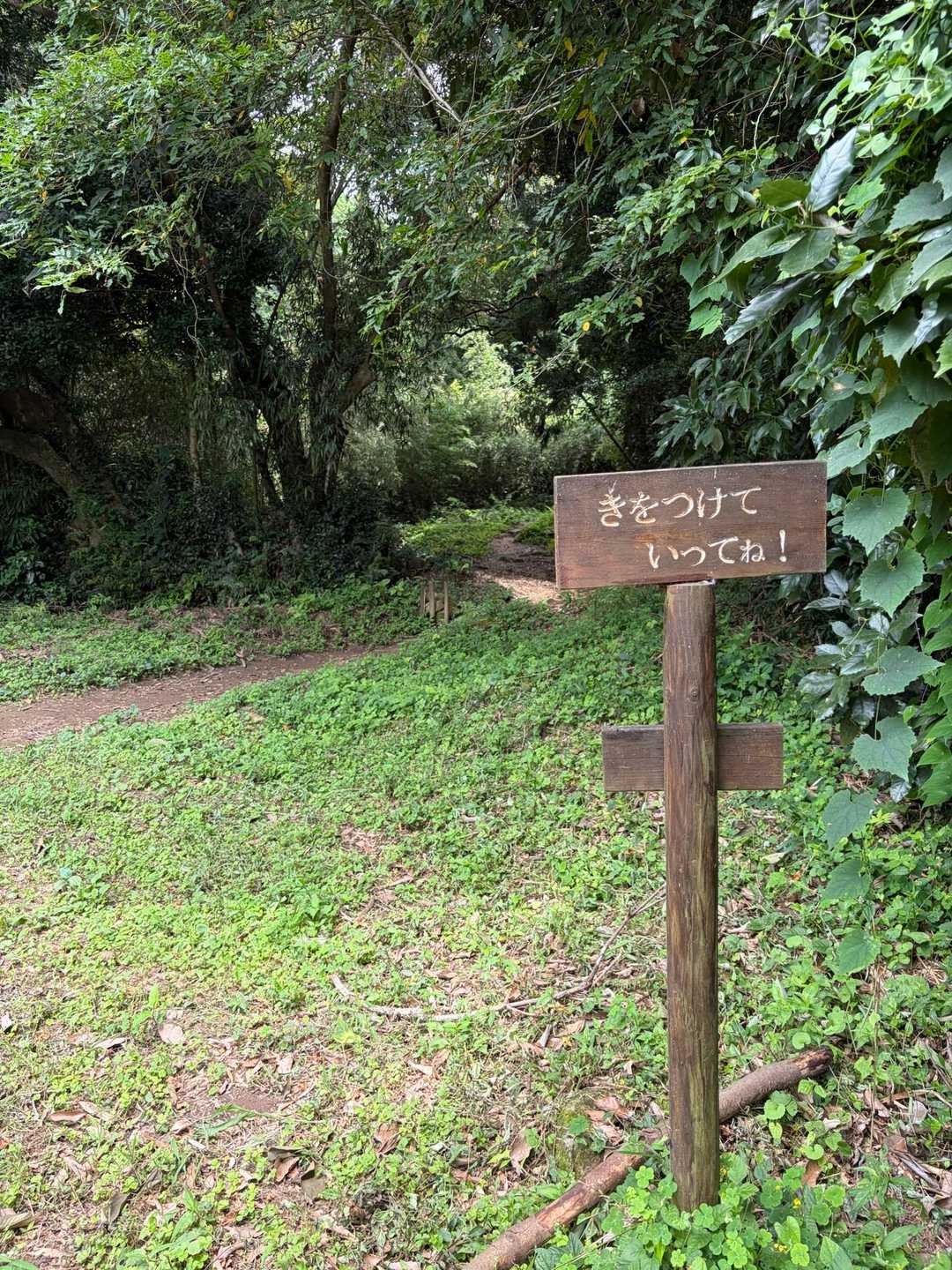 きをつけていってね！

なんて
優しい言葉😊

心がホッコリ…☺️

この言葉だけで
胸が熱くなる…💖