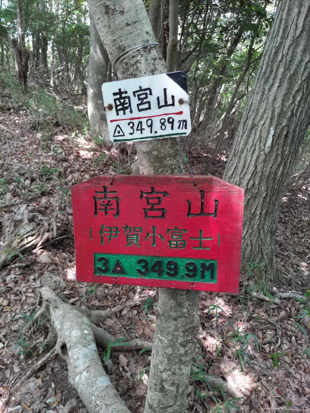 登山開始から30分ほどで到着
眺望はなし
思っていたより、暑さはマシでした🙆