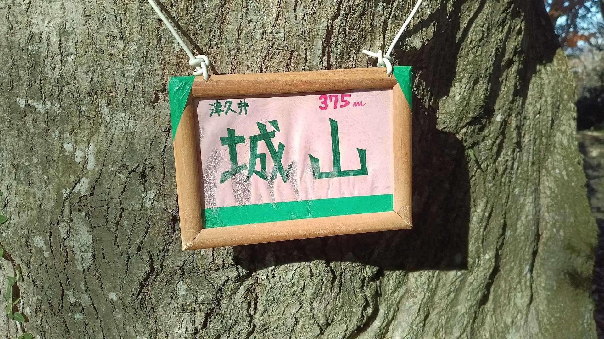 城山 往復コースの写真
