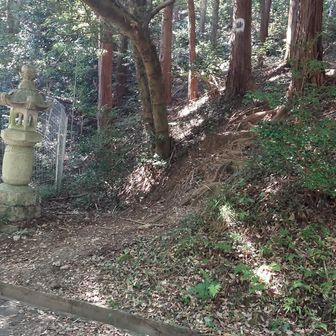 五井山から宮路山へ引き返すには時間があったのでちょっと大回りしてみることにしました。けど、止めた方が良いかもよ。これは急勾配で下山してきた所の写真。ここから戻る（帰る）ために別のルートで五井山付近まで登山することになります。。。💦