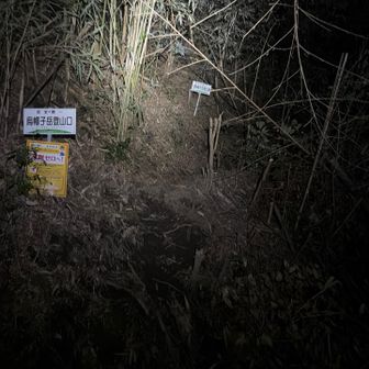 登山口に来ました。よっしゃ〜行きますよ！