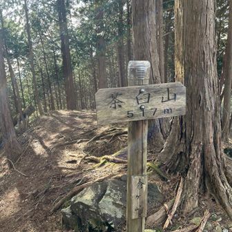 茶臼山
展望は今市（笑）