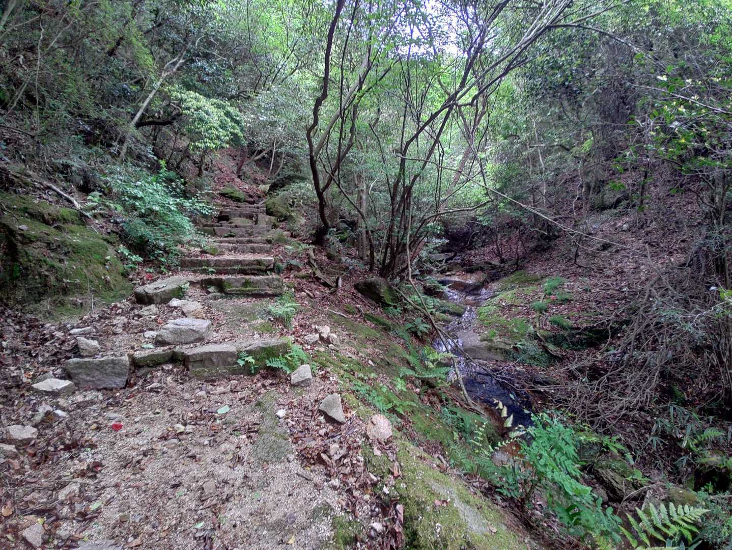 杣谷峠-摩耶別山 周回コースの写真
