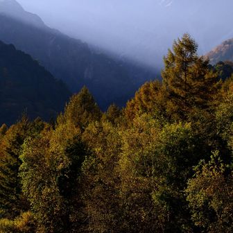 お疲れ山でした🏔️
秋山最高の締めくくりになりました😆
山にはいろんな出会いがあって、やめられないです♪