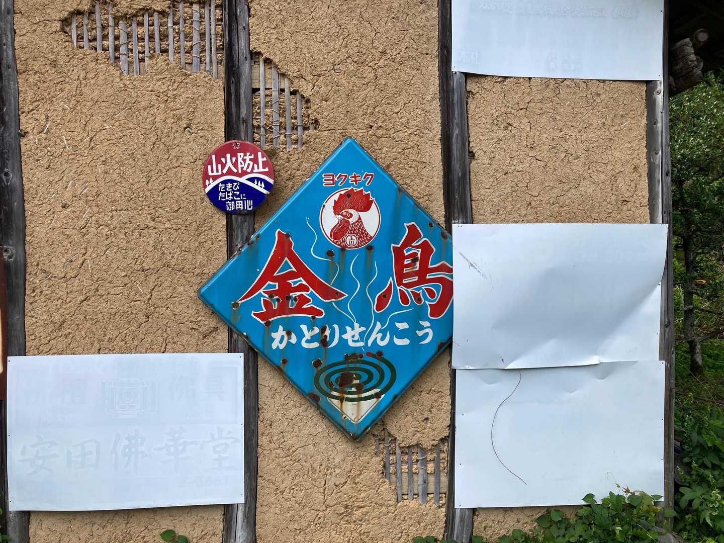 キンチョウの夏、日本の夏もそろそろ終わり。今日の登山も終わり。