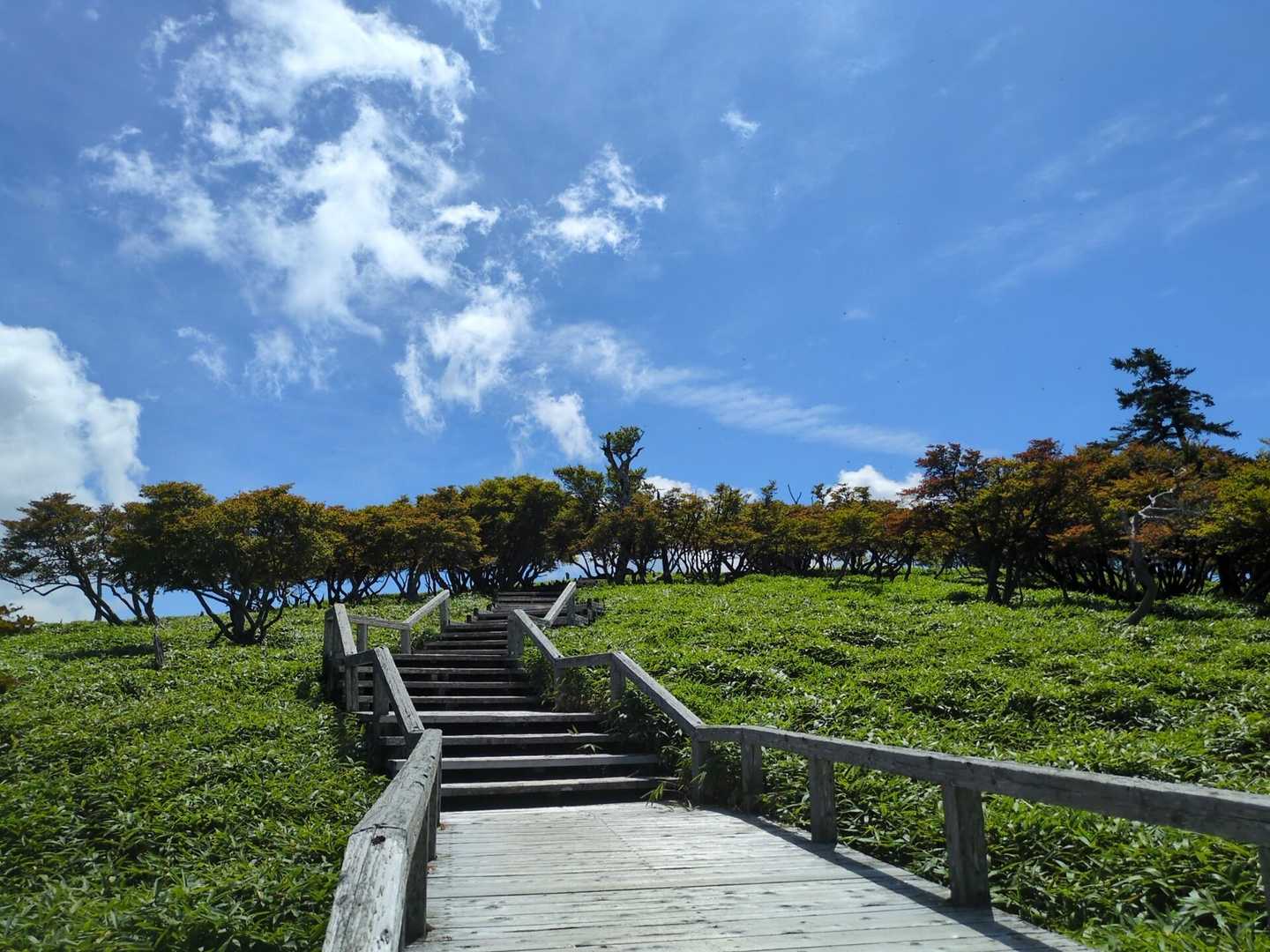 大台ヶ原山-大台ヶ原バス停 縦走コースの写真