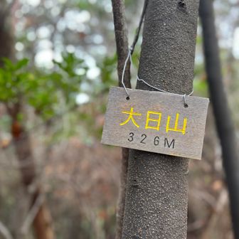 大日山はフィールドメモにある通りわかりづらいです😅一回通り過ぎた