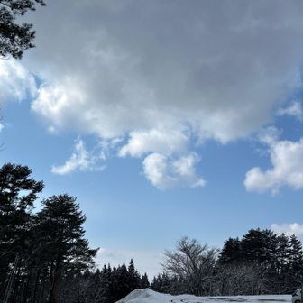 麓は晴れて来ましたねー
