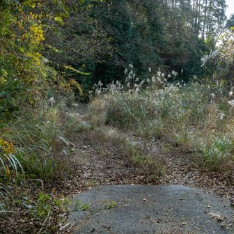 また未舗装路に