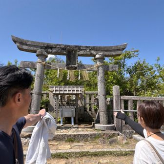 弥彦山からの弥彦神社⛩️