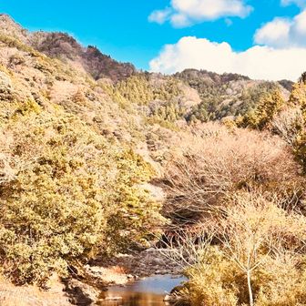 なんてこった🤣