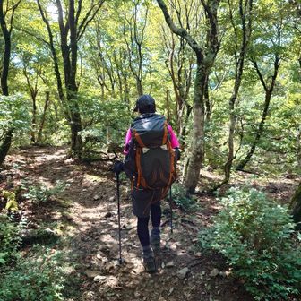 きのこを探しながら…
無事に下山しました〜！

このあとは、きのこ写真へ