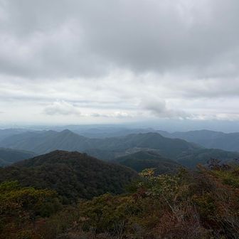 これでも十分なんです。
だって今まで何も見えなかったんですから。
無い物ねだりです☺️
