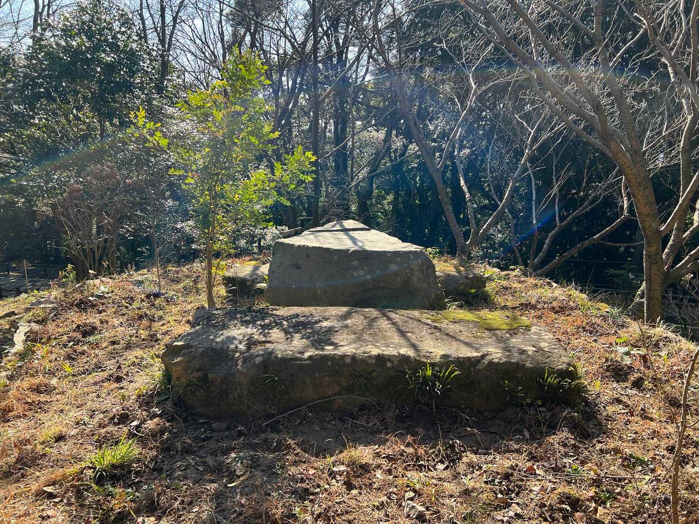 ちょっと迷ったけど•••ココっすね👍