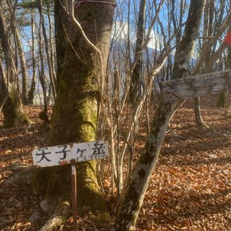 天子ヶ岳　登頂
眺望なし