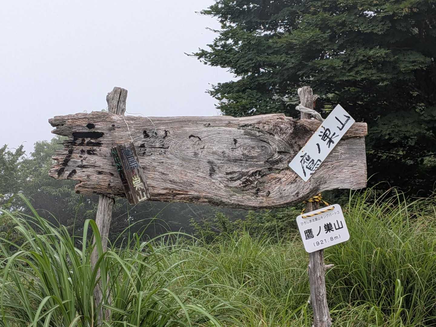 鷹ノ巣山山頂。