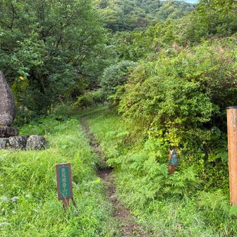 景色に見とれて行きすぎたが、看板横が入り口