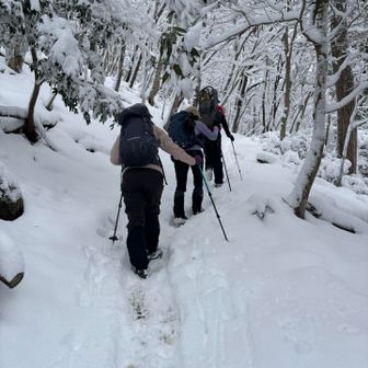 新雪の音が良い
