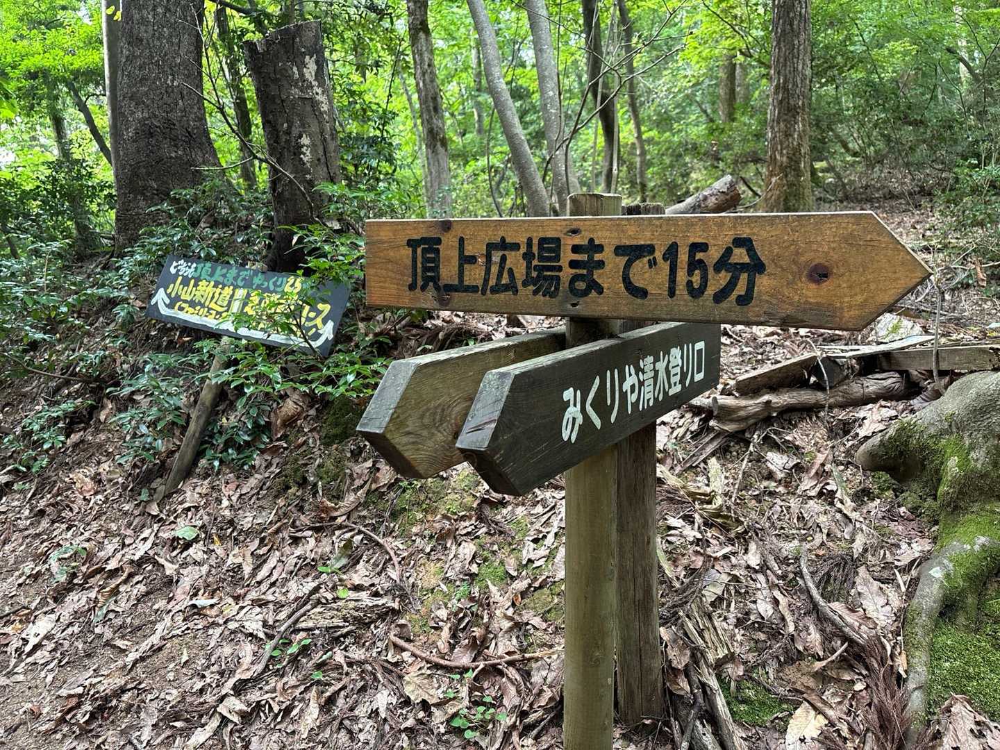 下市山 往復コースの写真