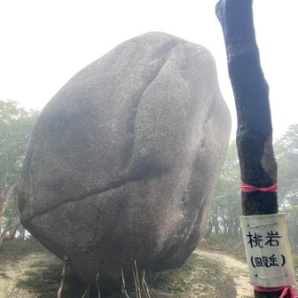 もも岩🍑