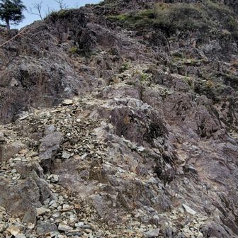 鹿納山直下。
ザック担いだまま行こう！