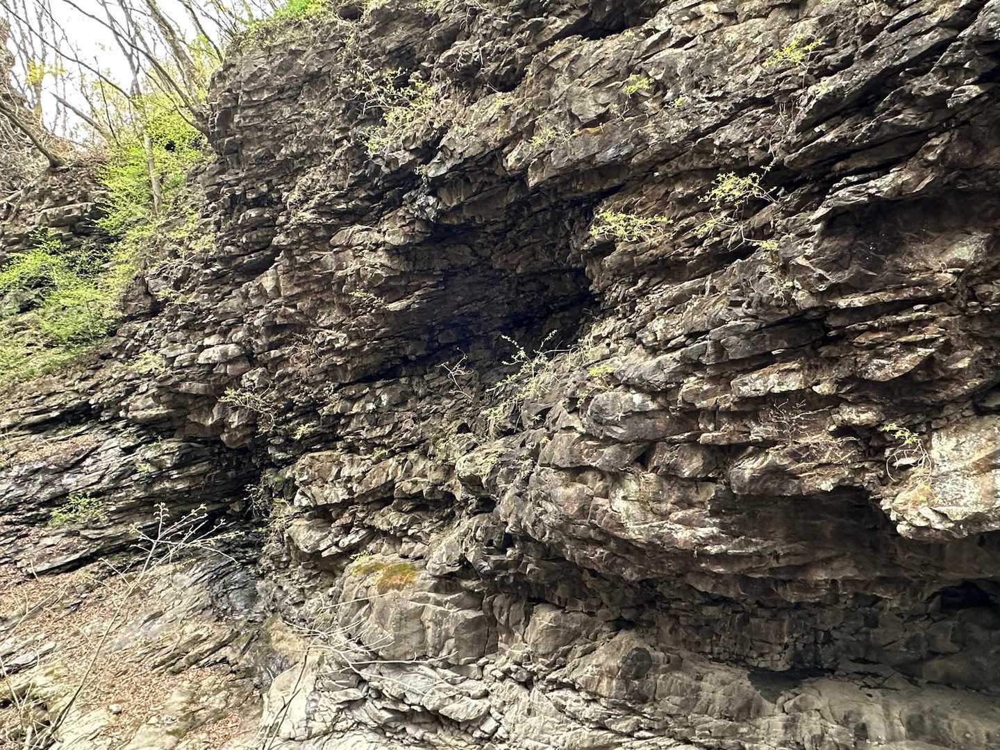 大塩沢川沿いの岩を見ながら🅿︎に戻ってお疲れ⛰️