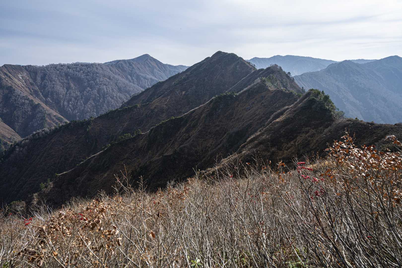 やっと光明山が見えてきました。
その向こうは毛無山
