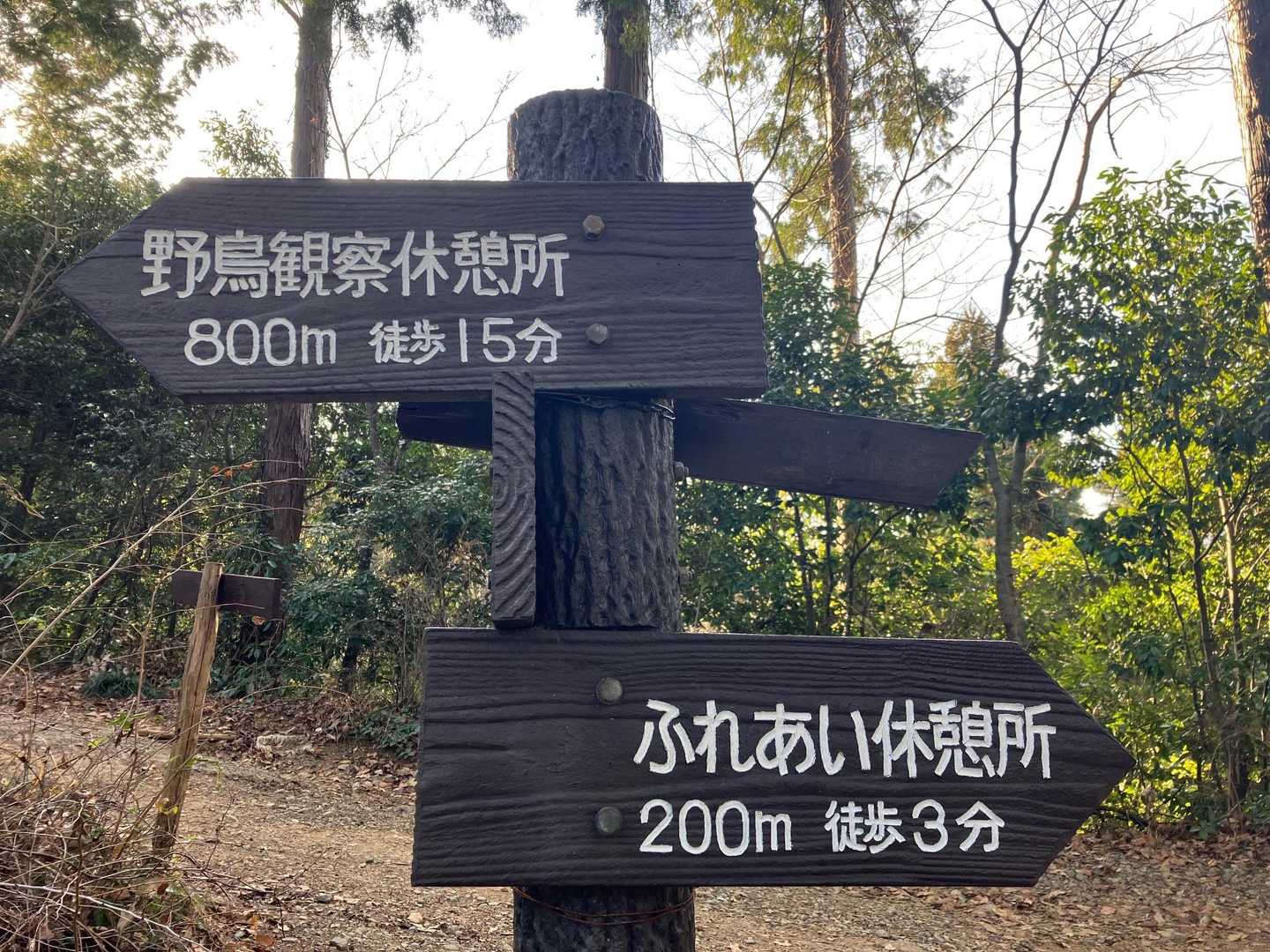 草戸山 周回コースの写真