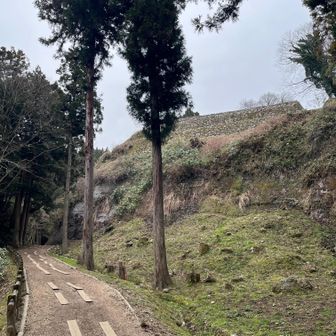 本丸下の調度丸（弓矢などの武具を整えたとこ）から見上げると、岩山の上に石垣が積まれた頑丈なつくりがよく分かる🪨