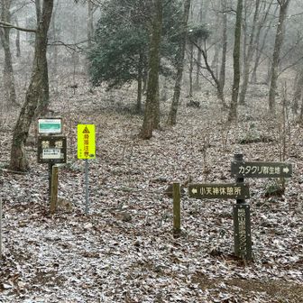 早足で下ったけど
無事に下山できてホッ🥰