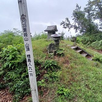 刈羽黒姫山の山頂
谷川岳などの展望がいいはずだが…