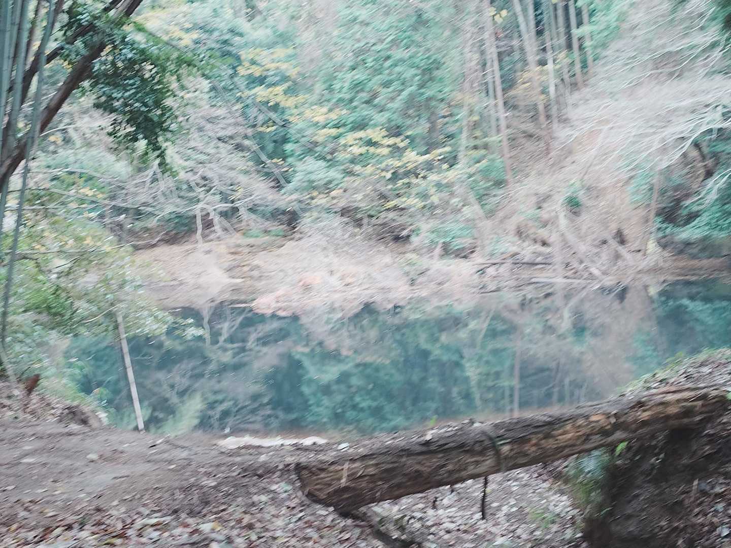 六感ハタラク👻