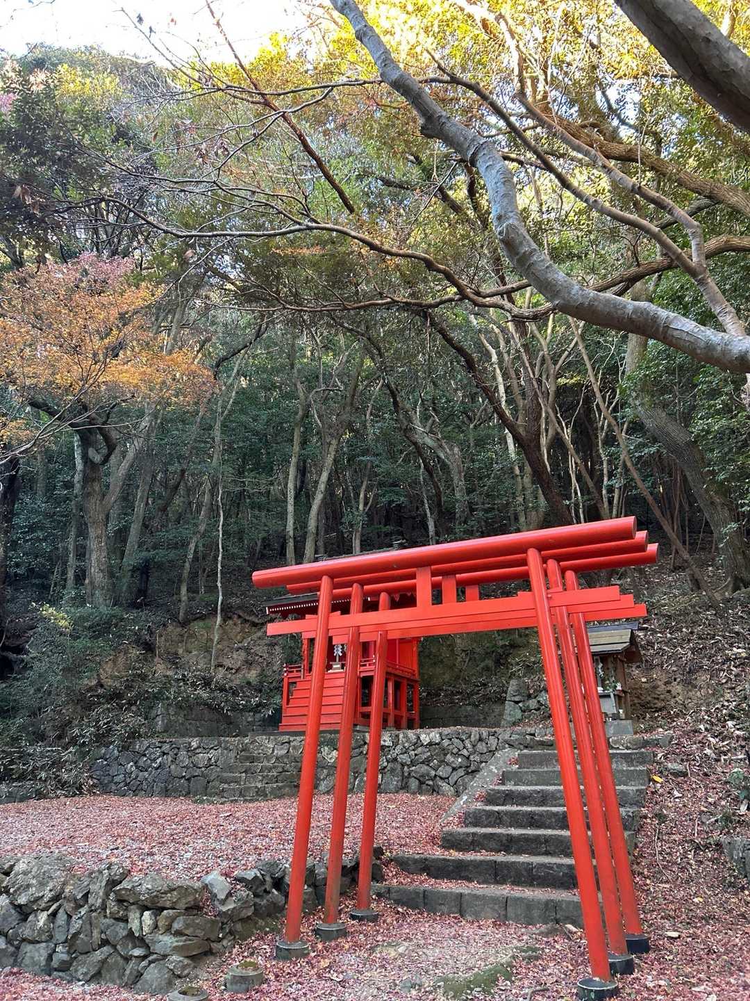 ありがとうございました