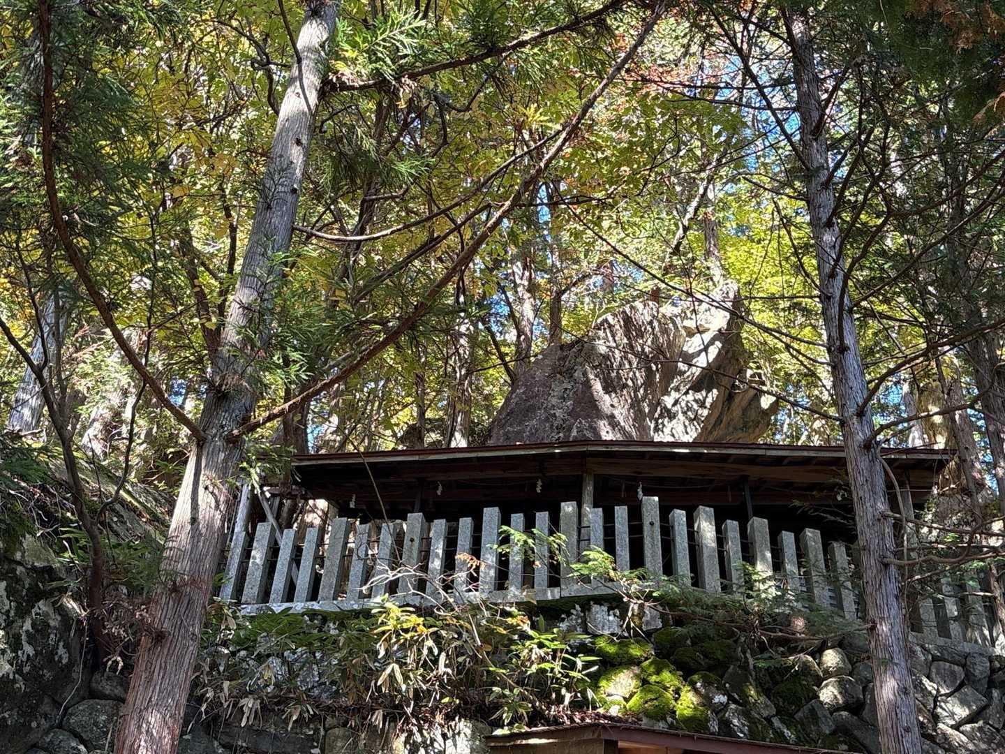あれはなんだろう。