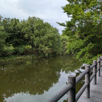 三井池