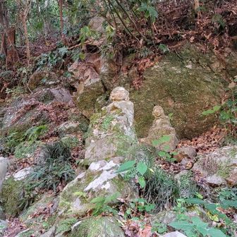 下りは落ち葉🍂で何度もズルッとなりました😅
なんとか持ちこたえたけどそのうちコケます