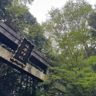 久しぶりの本宮山⛰️
楽しかったです🎵