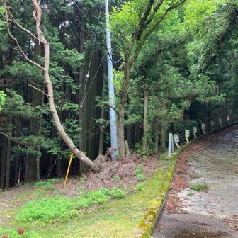 ↖️屋床峰へ。↗️風頭山方面ね。