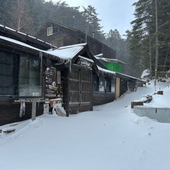 臨時休業。リスもいない